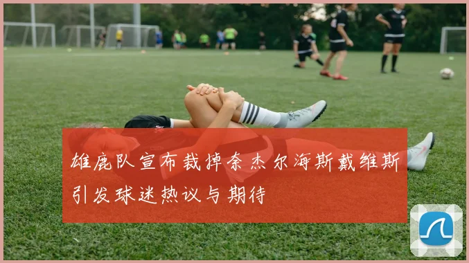 雄鹿队宣布裁掉奈杰尔海斯戴维斯引发球迷热议与期待